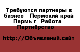 Требуются партнеры в бизнес - Пермский край, Пермь г. Работа » Партнёрство   
